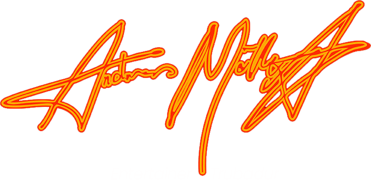 Andreas Möller - Trubadur & Entertainer